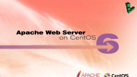 Apache_Web_Server_smg.jpg