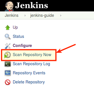 Scan Repository Now