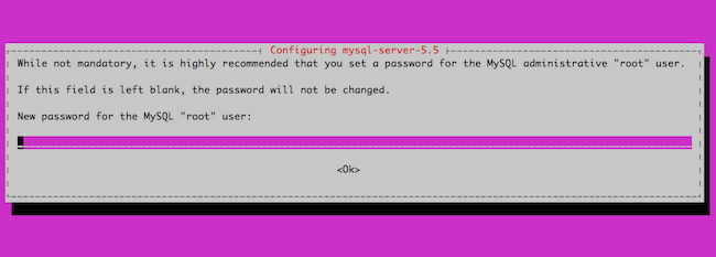 Setting the MySQL root password in Ubuntu 14.04 LTS (Trusty Tahr).