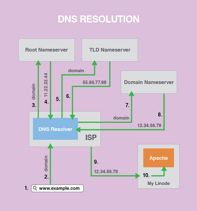 The steps for DNS resolution, also displayed below.