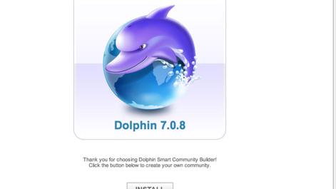 1076-dolphin-1-small.png