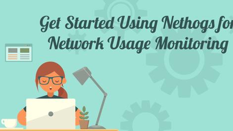 UsingNethogs_NetworkMonitoring.png