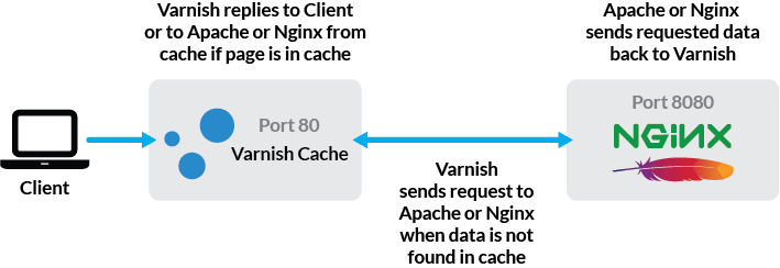 Where Varnish Exists in the Web Server Process