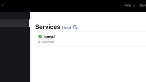 consul-dashboard.png