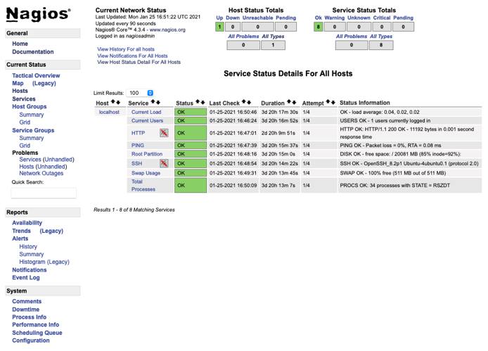 Nagios page detailing the services running