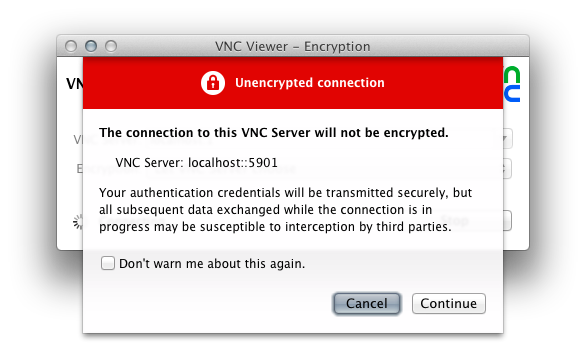 VNC Security Warning.