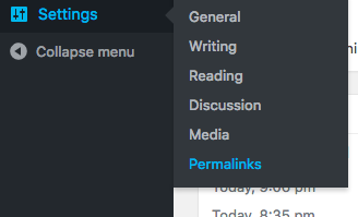 Wordpress Settings Permalinks