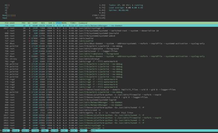 System monitoring display in htop