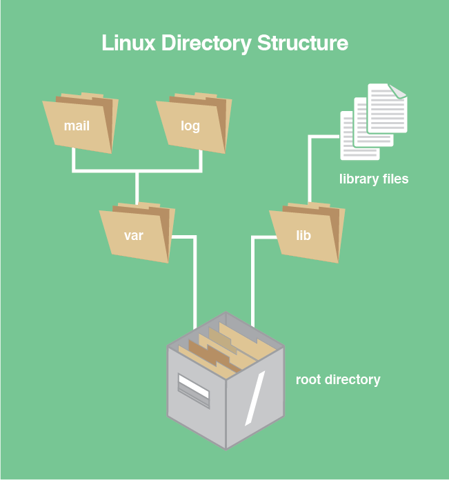 The Linux directory structure.