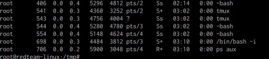ps aux output with shell.py hidden