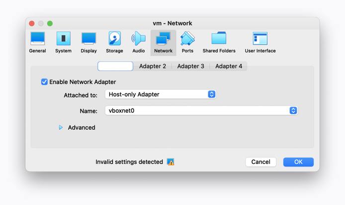 VirtualBox - Raven VM Network Settings - Host-only Adapter Selected