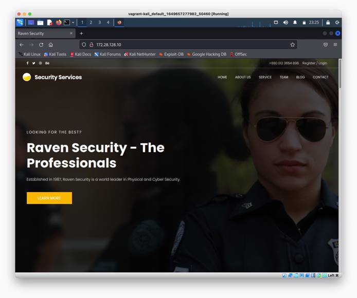Raven web server browser screenshot