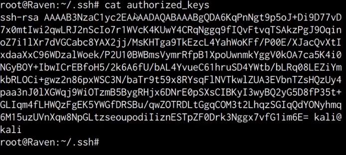 authorized_keys contents