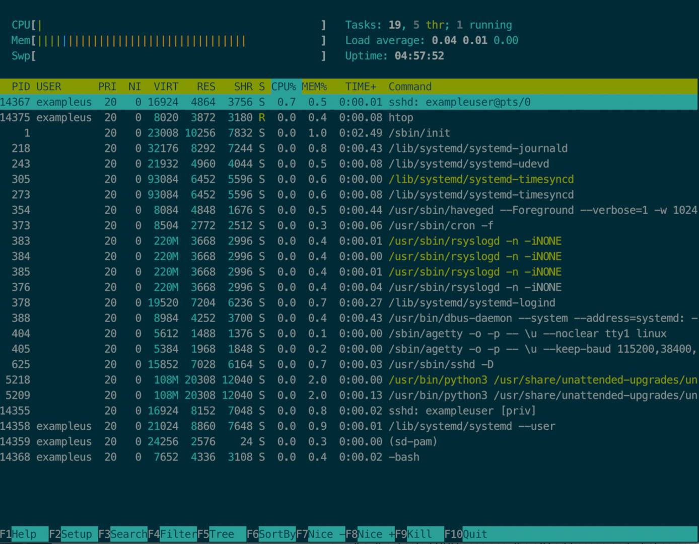 htop lists processes and sorts by consumption
