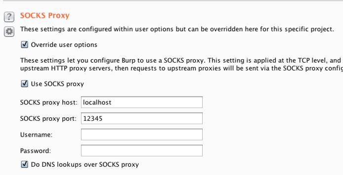 Burp Suite proxy settings