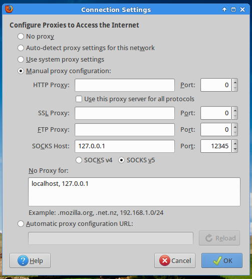 Firefox preferences - Proxy Settings.