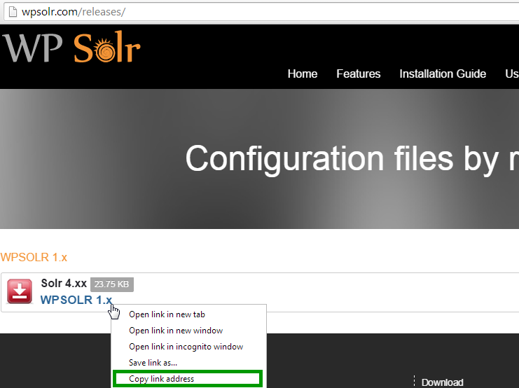 WPSolr Configuration Download