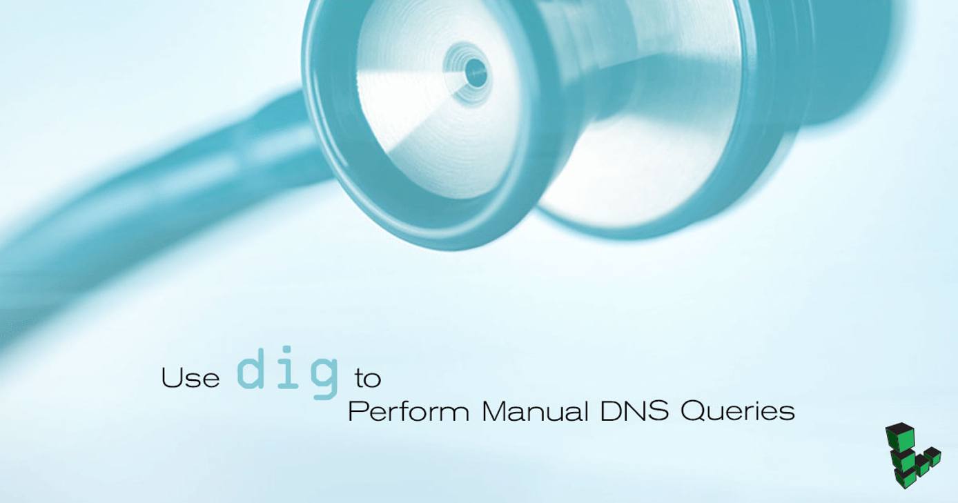 Use dig to Perform Manual DNS Queries