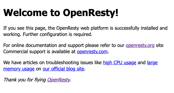 The default OpenResty welcome page