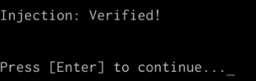 Shellter payload injection confirmation